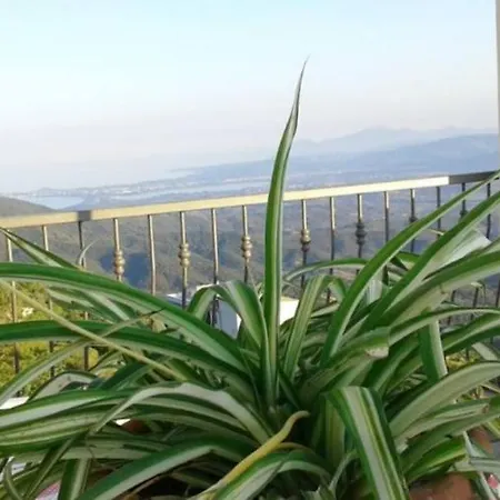 Montagna Relax Apartment *